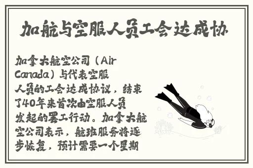 貂蝉的两个大兔子